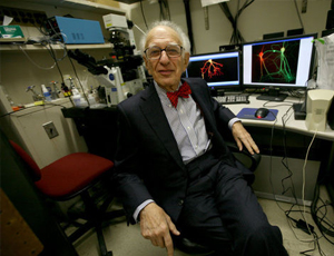 在线手机号压力测试